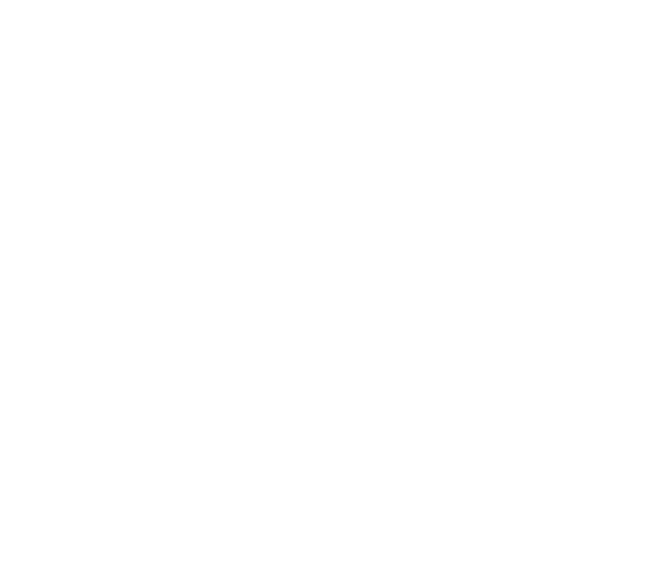 Big Logo